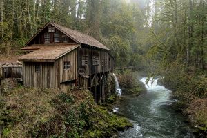 House and Land Cleaning